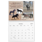 Friesischer Pferdekalender 2013 kolossal Kalender (Jan 2027)