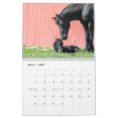 Friesischer Pferdekalender Kalender (Mär 2027)