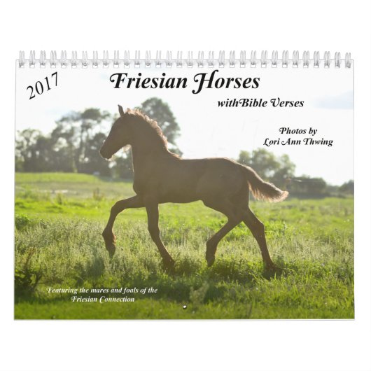 Friesischer Pferdekalender mit Bibel-Versen Kalender (Titelbild)