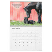 Friesischer Pferdekalender mit Bibel-Versen Kalender (Mär 2027)