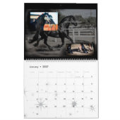 Friesischer Pferdekalender-Wettbewerb Kalender (Jan 2027)