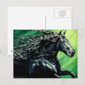 Friesischer schwarzer Hengst Postkarte (Vorne/Hinten)