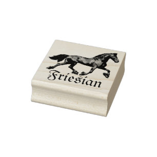 Friesischer schwarzer Hengst, schwarze Schönheit, Gummistempel