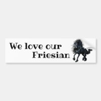 Friesischer, schwarzer Stallion/wir Liebe unser