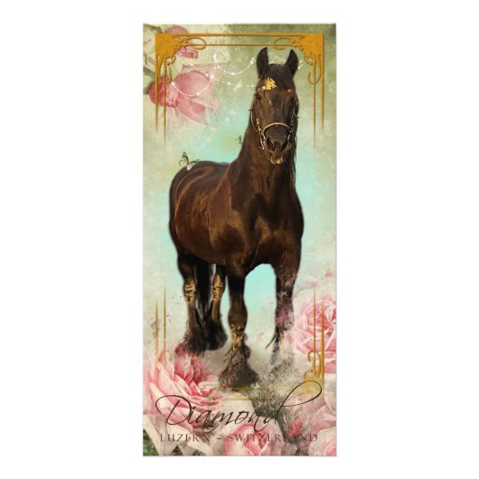 Friesischer Stallion II - Rackcard Werbekarte (Vorne)