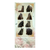 Friesischer Stallion II - Rackcard Werbekarte (Hinten)