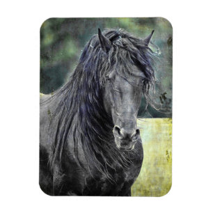 Friesischer Stallion Magnet