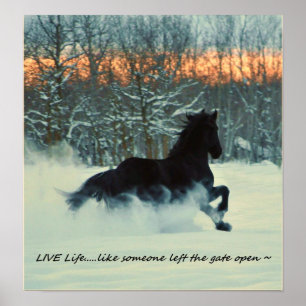 Friesischer Winter-Scherz Poster