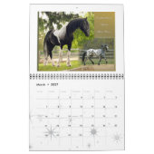 Friesisches Erbpferdestandardgröße Kalender (Mär 2027)