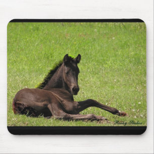 Friesisches Fohlen mousepad