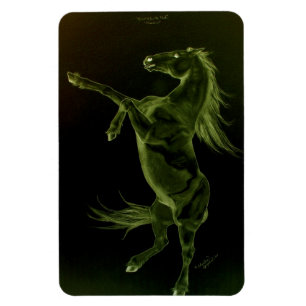 Friesisches Pferd, das Flexi Magneten aufrichtet Magnet