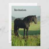 Friesisches Pferd Einladung (Vorne/Hinten)