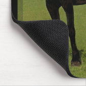 Friesisches Pferd Mousepad #9 (Ecke)