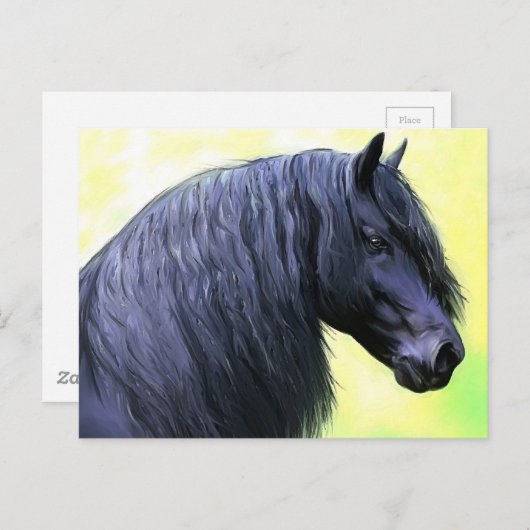 friesisches Pferd Postkarte (Vorne/Hinten)