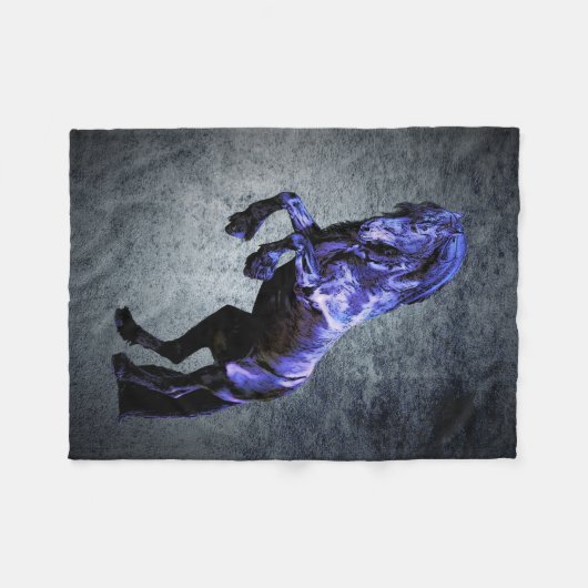 Friesisches Pferd, schwarzer Schönheitshengst, Car Fleecedecke (Vorderseite (Horizontal))