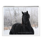 Friesisches Pferdeenormes Foto Kalender (Titelbild)