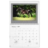 Friesisches Pferdeenormes Foto Kalender (Feb 2027)