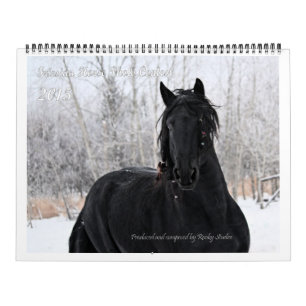 Friesisches Pferdeenormes Foto Kalender