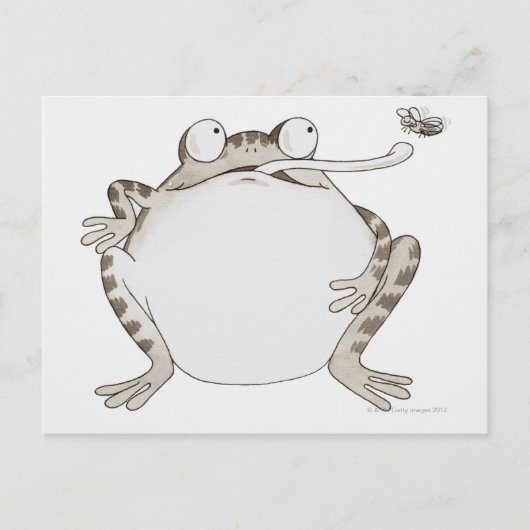 Frig sucht nach postkarte (Vorderseite)