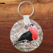 Frigate Bird (Fragata) in Mating Display Galapagos Schlüsselanhänger (Vorderseite)
