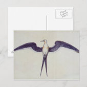 Frigate Bird Postkarte (Vorne/Hinten)