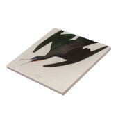 Frigate Pelican Birds of America Audubon Print Fliese (Seite)