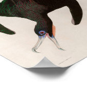 Frigate Pelican Birds of America Audubon Print Poster (Ecke)