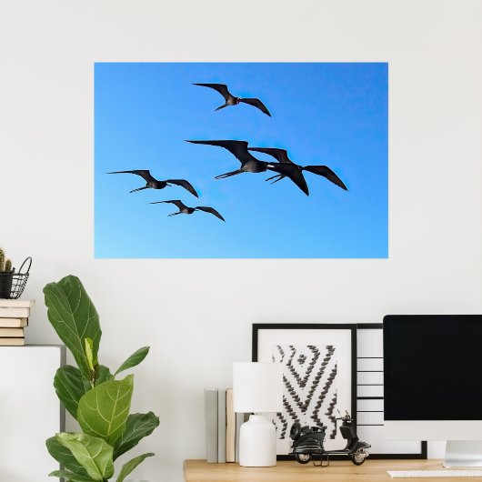 Frigatebird Flock Poster (Heimbüro)