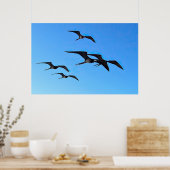 Frigatebird Flock Poster (Küche)