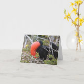 Frigatebird Greeting Card Karte (Gelbe Blume)