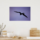 Frigatebird-Silhouette Poster (Küche)