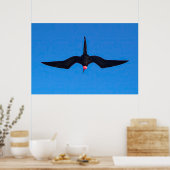 Frigatebird von unten poster (Küche)