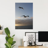 Frigatvögel bei Sonnenuntergang Poster (Heimbüro)