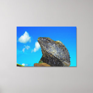 Frill halackte Lizard Leinwanddruck