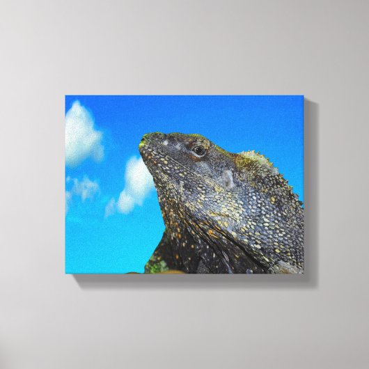 Frill halackte Lizard Leinwanddruck (Vorderseite)