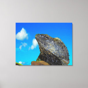Frill halackte Lizard Leinwanddruck