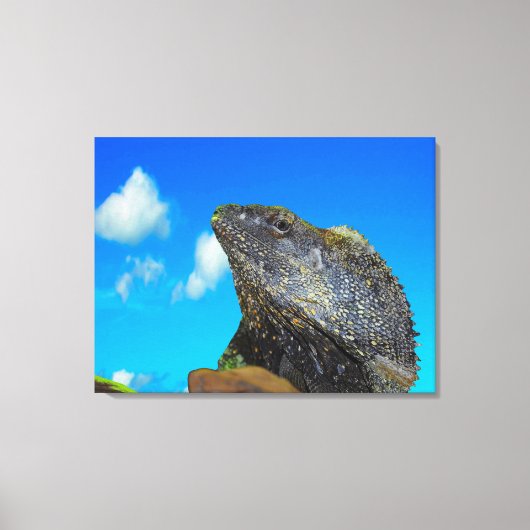 Frill halackte Lizard Leinwanddruck (Vorderseite)