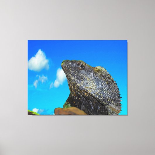 Frill halackte Lizard Leinwanddruck (Vorderseite)