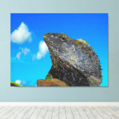 Frill halackte Lizard Leinwanddruck (Insitu (Holzboden))