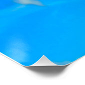 Frill halackte Lizard Poster (Ecke)