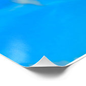 Frill halackte Lizard Poster (Ecke)