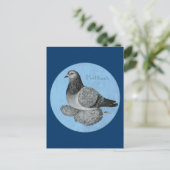 Frillback Blue Grizzle Pigeon Postkarte (Stehend Vorderseite)