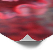 Frilled Echeveria Poster (Ecke)