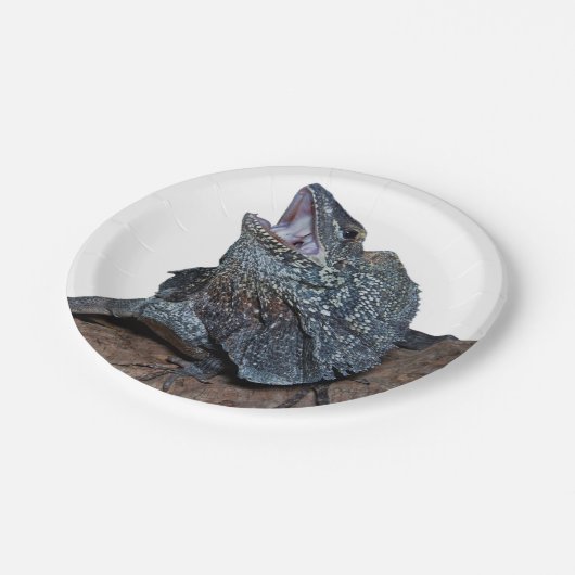 Frilled-Hals Eidechse Pappteller (Schrägansicht)