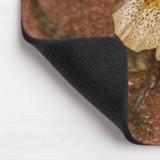 Frilled Lizard - Chlamydosaurus kingii Mousepad (Ecke)