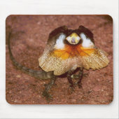 Frilled Lizard - Chlamydosaurus kingii Mousepad (Vorne)