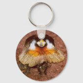 Frilled Lizard - Chlamydosaurus kingii Schlüsselanhänger (Vorderseite)