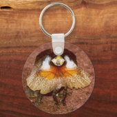 Frilled Lizard - Chlamydosaurus kingii Schlüsselanhänger (Vorderseite)