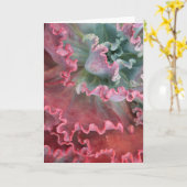 Frilles echeveria card karte (Gelbe Blume)