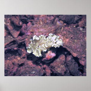 Frilly NudiBranly Poster